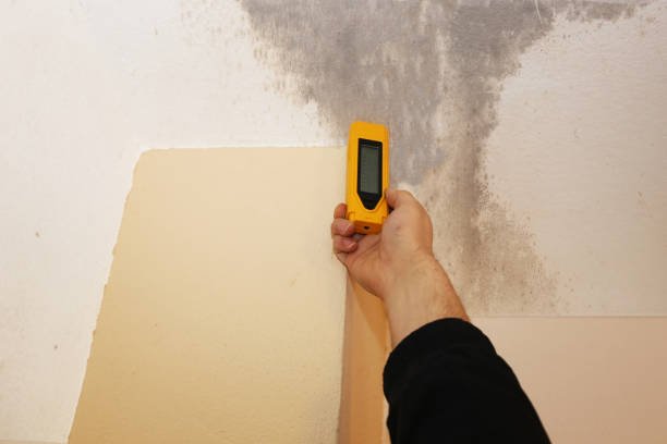 Best Commercial Mold Inspection  in Halesite, NY